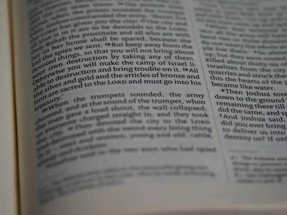 Χεηγκο Καζίνο Υποστηριξη